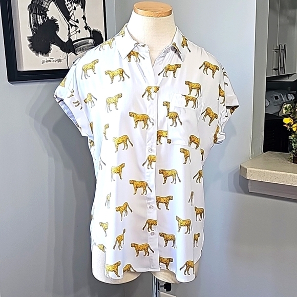 Jane Delancey, women's NWT blouse. Leopard 🐆 print. Over sized small. Great top - Picture 1 of 9